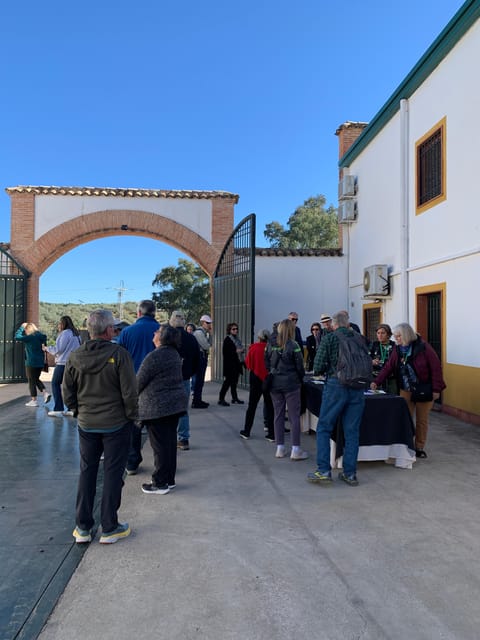 Gold Bailén: Explore the Oil Mill + Tasting - Frequently Asked Questions