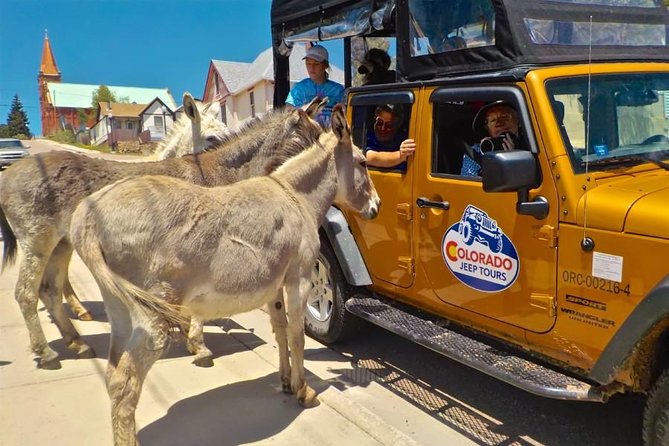 Gold Belt Scenic Byway Jeep Tour From Cañon City - Scenic Views From an 11,000-Foot Vantage Point