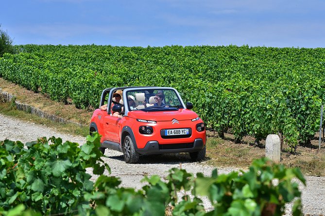 Gold Champagne Experience From Epernay (Private Full Day Tour) - Champagne Tasting Experiences