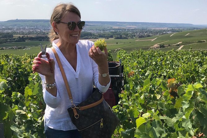Gold Champagne Experience From Epernay (Private Full Day Tour) - Culinary Experiences