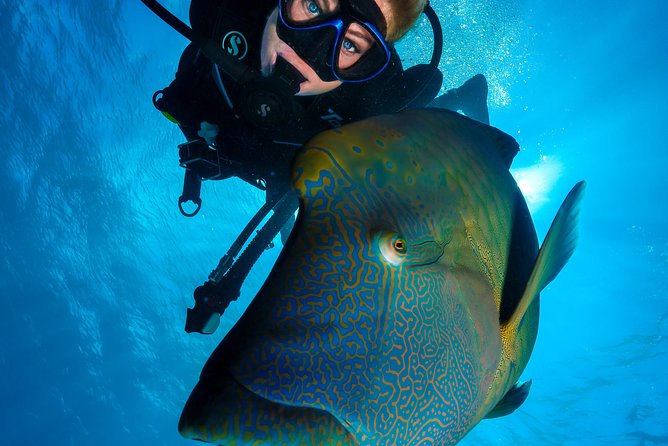 Gold Class VIP Great Barrier Reef Cruise From Cairns by Luxury Superyacht - Departure and Check-in