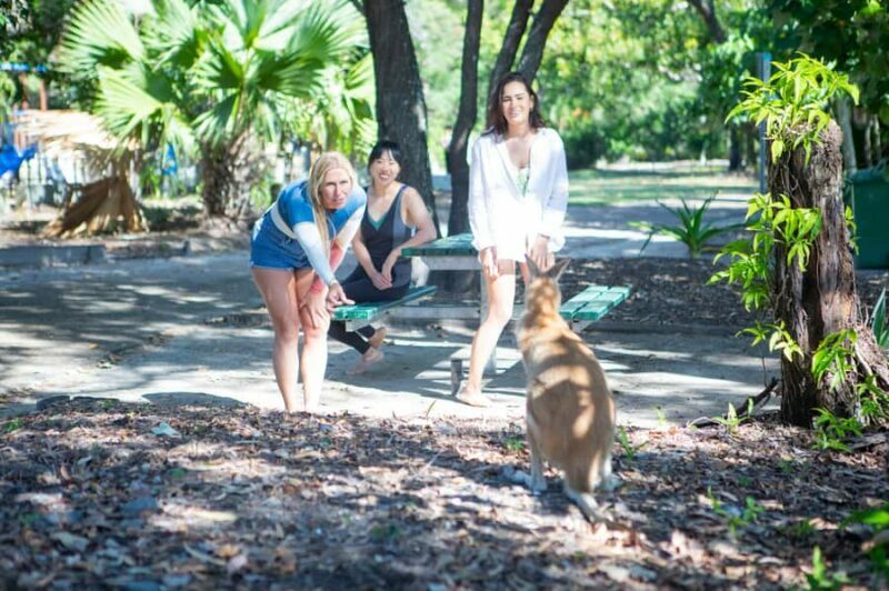 Gold Coast: 1.5-Hour Jet Ski Safari to Stradbroke Island - Gold Coast: 1.5-Hour Jet Ski Safari to Stradbroke Island