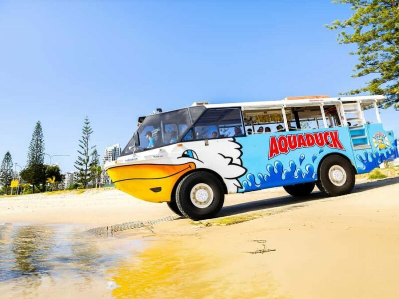 Gold Coast: 1-Hour Land and Water Duck Tour - An Honest Look at the 1-Hour Land and Water Duck Tour
