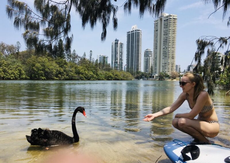 Gold Coast: 1-Hour Standup Paddleboarding Lesson & Photos - Pricing and Booking