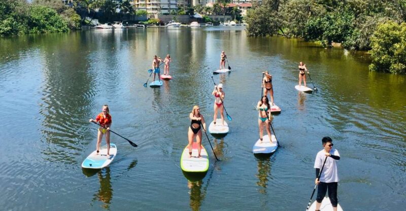 Gold Coast: 2-Hour Standup Paddleboarding Tour & Marine Life - Itinerary & Activities