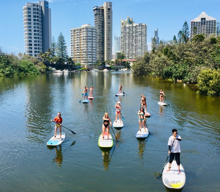 Gold Coast: 2-Hour Standup Paddleboarding Tour & Marine Life - Inclusions & Logistics