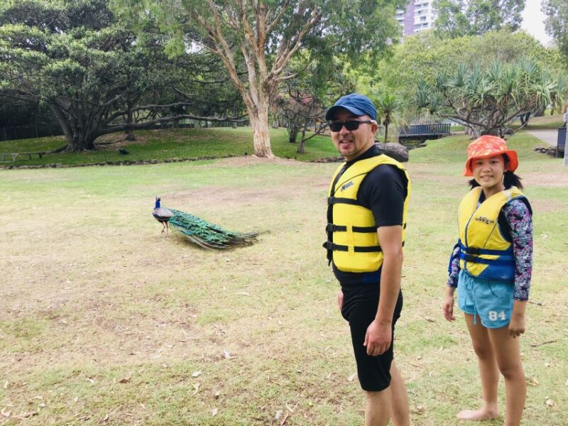 Gold Coast: 2-Hour Standup Paddleboarding Tour & Marine Life - Important Information