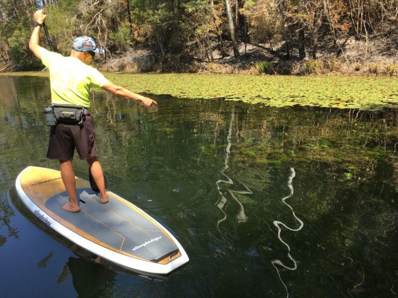 Gold Coast: 2-Hour Standup Paddleboarding Tour & Marine Life - Highlights