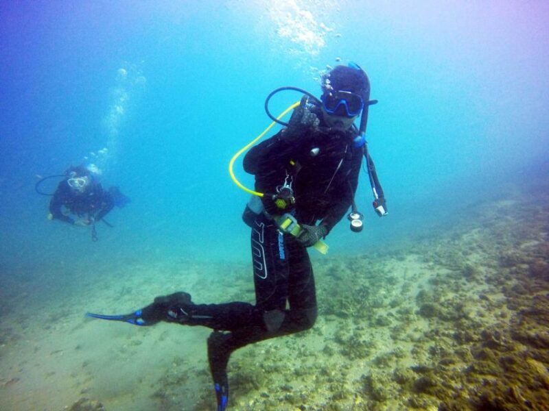 Gold Coast: 3-Day PADI Open Water Course - Pickup and Transportation