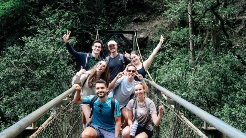 Gold Coast: 6 Waterfalls, Koalas & Natural Bridge Day Tour - A Closer Look at the Tour Experience