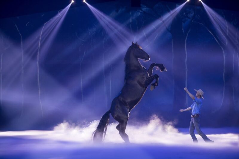 Gold Coast: Australian Outback Spectacular Dinner & Show - Captivating Acrobatic and Animal Performances