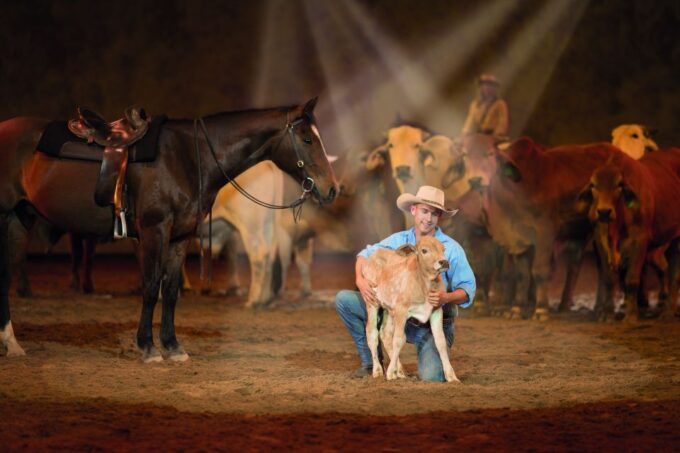 Gold Coast: Australian Outback Spectacular Dinner & Show - Glowing Customer Feedback and Ratings