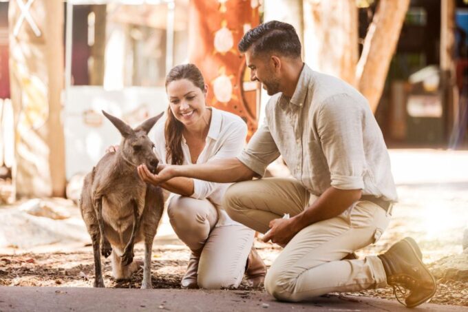 Gold Coast: Dreamworld 1-Day Entry Ticket - Customer Reviews and Feedback
