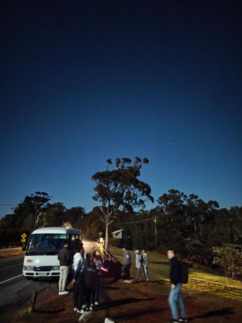 Gold Coast Glow Worm Night Tour (Chinese Group) - Key Points