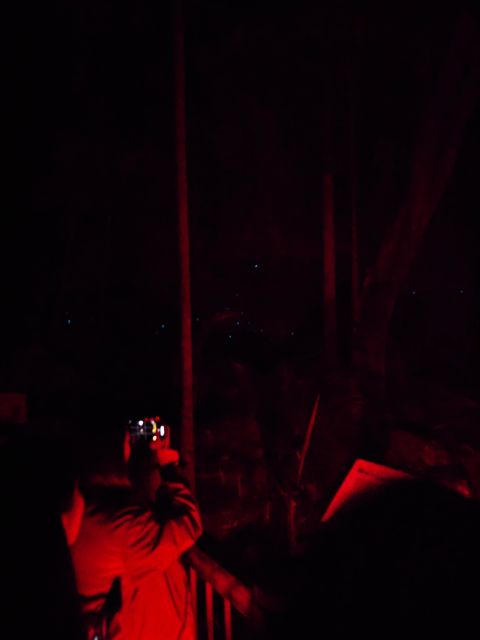 Gold Coast Glow Worm Night Tour (Chinese Group) - Inclusions