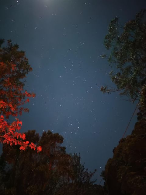 Gold Coast Glow Worm Night Tour (Chinese Group) - Departure and Pickup Locations