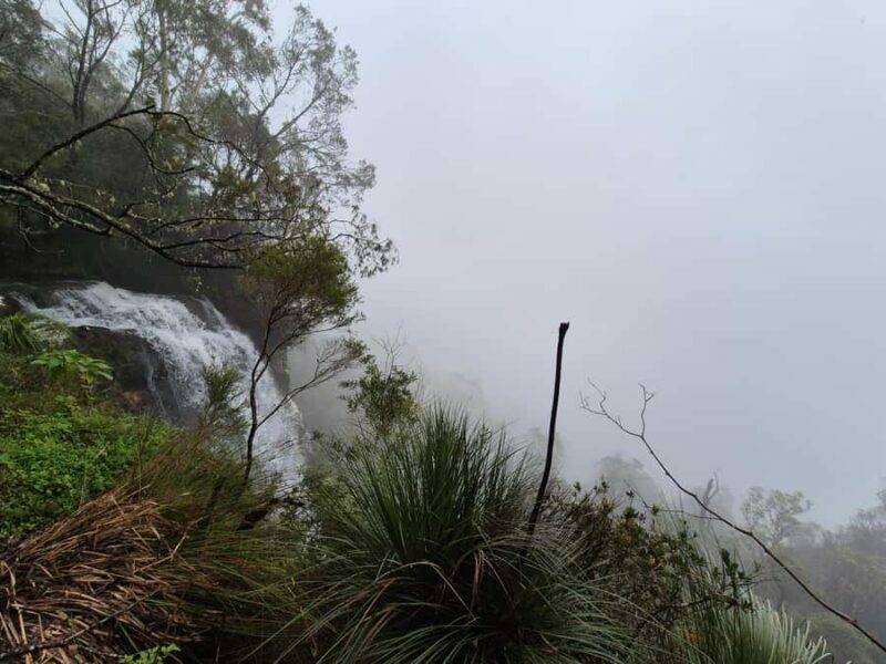Gold Coast: Glow Worms Day/Night Rainforest & Waterfall Walk - FAQs