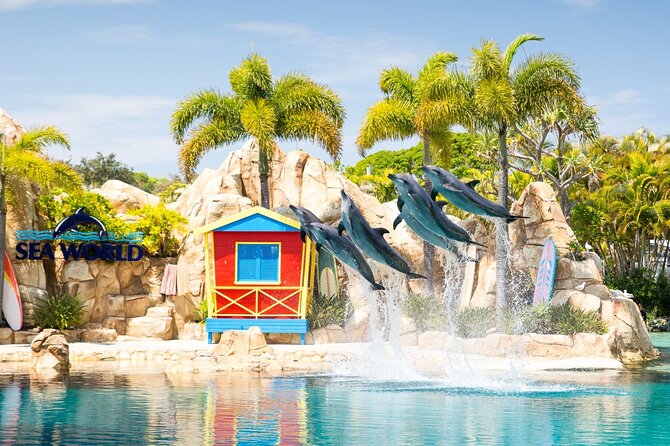 Gold Coast Hop On Hop Off Sightseeing Cruise 1 Day Pass - Booking Information Details