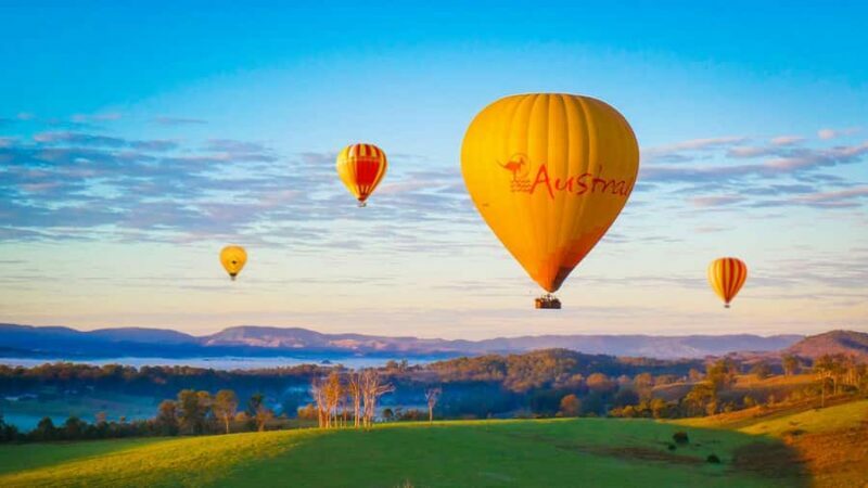 Gold Coast: Hot Air Balloon Flight+Vineyard Breakfast+Alpaca - In-Depth Breakdown of Each Segment