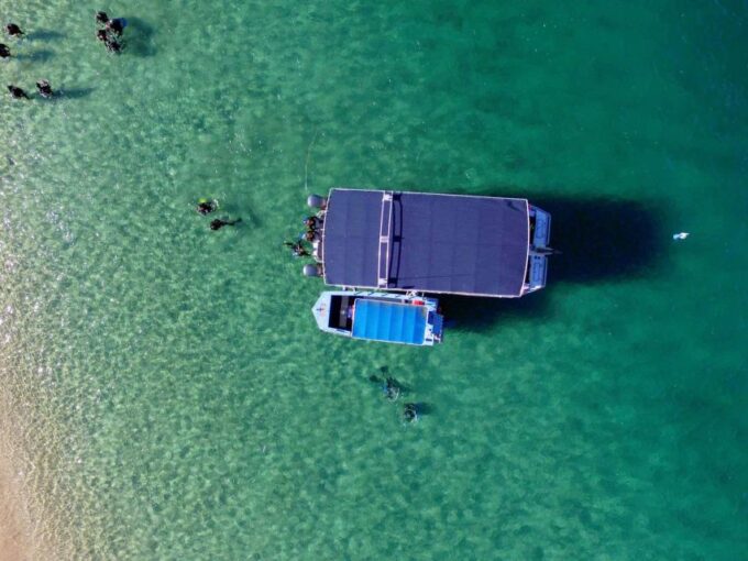 Gold Coast: Introductory SCUBA Diving Experience - Guided by Certified Instructors