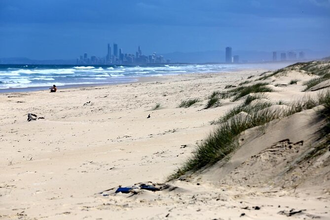Gold Coast Island Private Cruise With Platter and Prosecco - Key Points