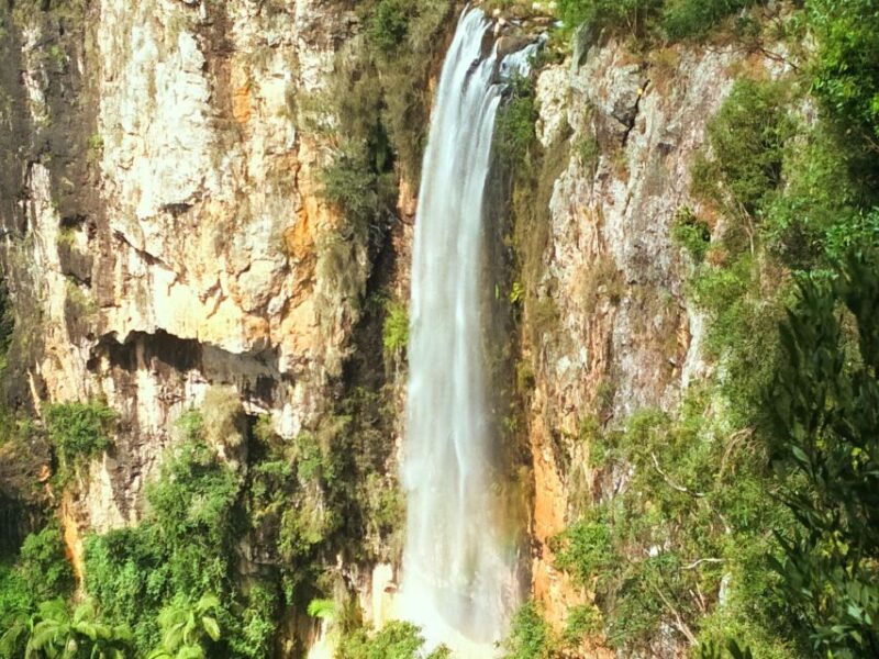 Gold Coast: Kangaroos, Rainforest & Waterfalls Experience - Capturing Picturesque Viewpoints
