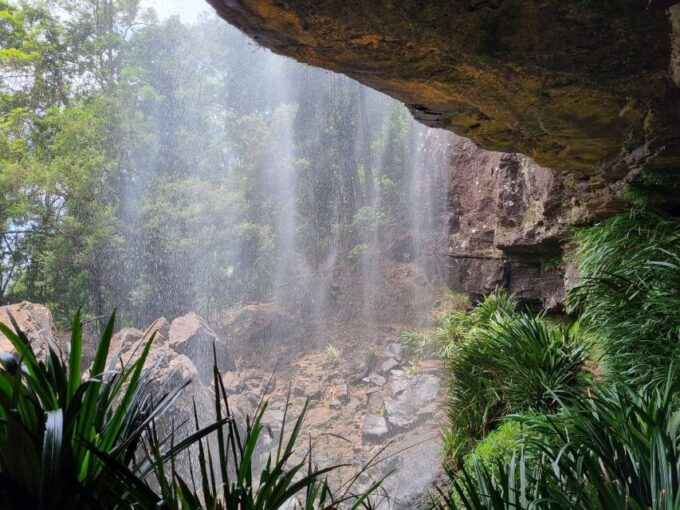 Gold Coast: Kangaroos, Rainforest & Waterfalls Experience - Comfortable Attire and Footwear
