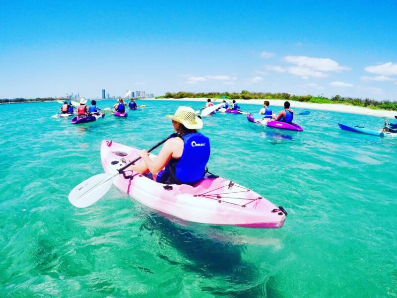 Gold Coast: Kayaking and Snorkeling Guided Tour - Experience Highlights