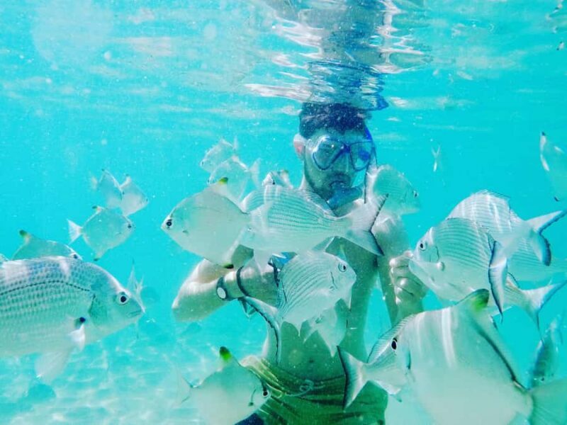 Gold Coast: Kayaking & Snorkelling Tour with Fish Feeding - FAQ