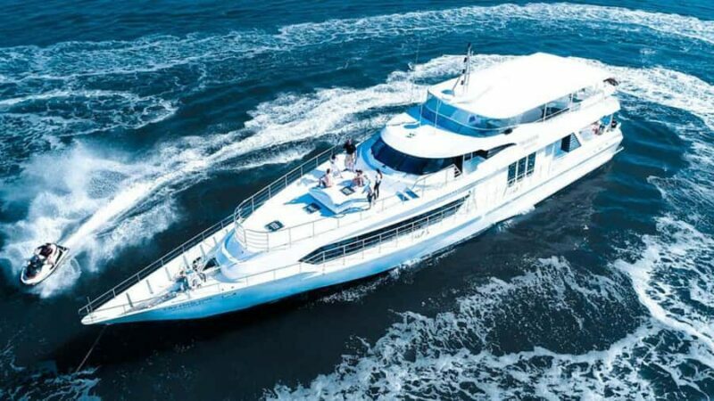 Gold Coast: Luxury Whale Watching Tour - Key Points