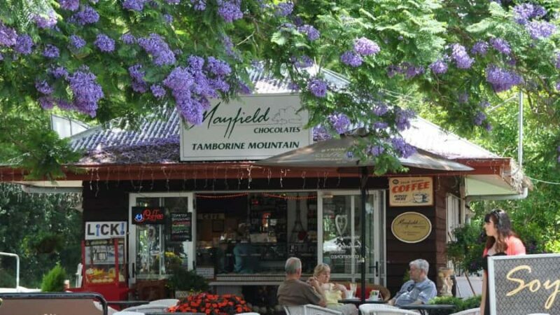 Gold Coast: Mount Tamborine Kangaroo and Koala Day Tour - FAQ