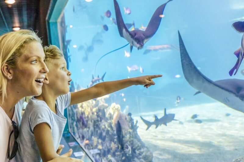 Gold Coast: Movie World, Sea World & WetnWild 7-Day Pass - Key Points