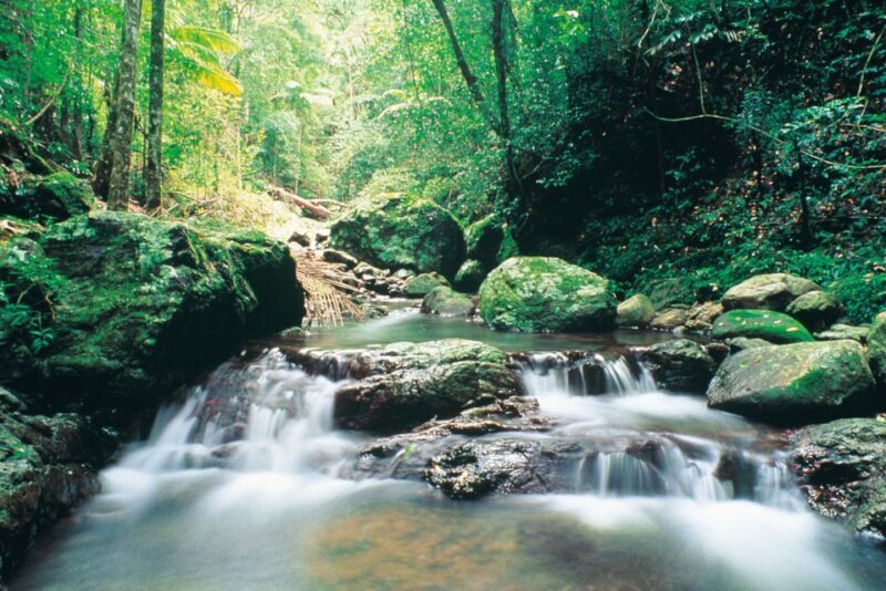 Gold Coast: Natural Bridge Glow Worm Night Tour - Key Points