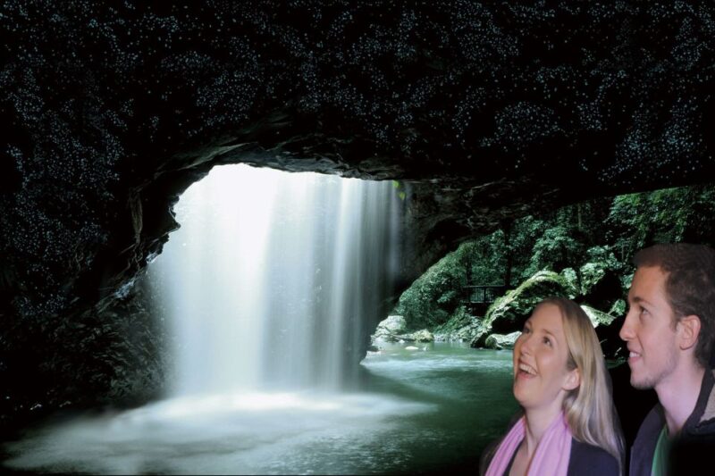 Gold Coast: Natural Bridge Glow Worm Night Tour - Inclusions