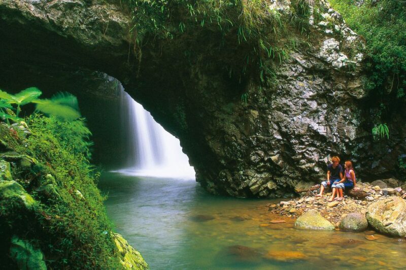 Gold Coast: Natural Bridge Glow Worm Night Tour - Recap