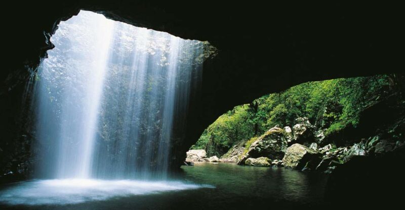Gold Coast: Natural Bridge & Springbrook Waterfalls Tour - Key Points
