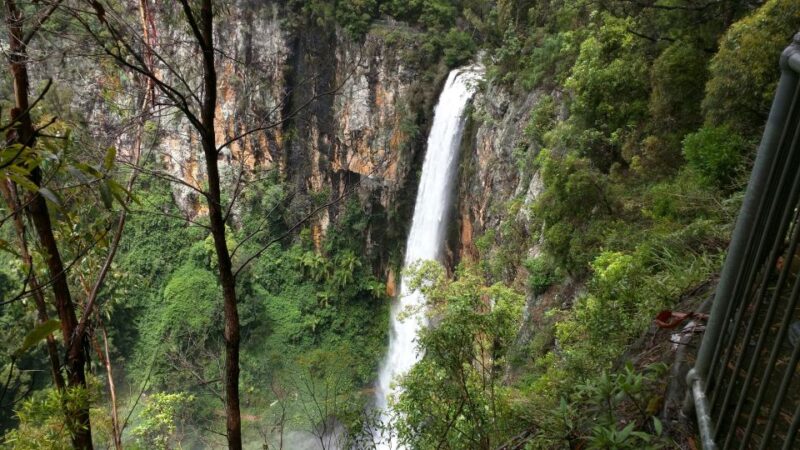 Gold Coast: Natural Bridge & Springbrook Waterfalls Tour - Customer Reviews and Ratings