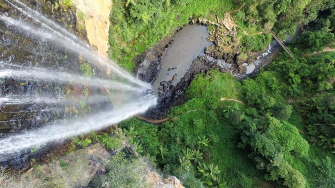 Gold Coast: Natural Bridge & Springbrook Waterfalls Tour - Guided Waterfall Hike