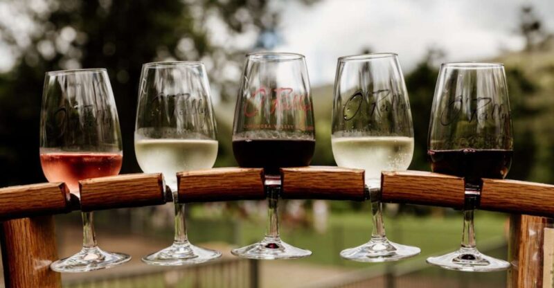 Gold Coast: Private Winery Tour in a New Luxury Vehicle - Key Points