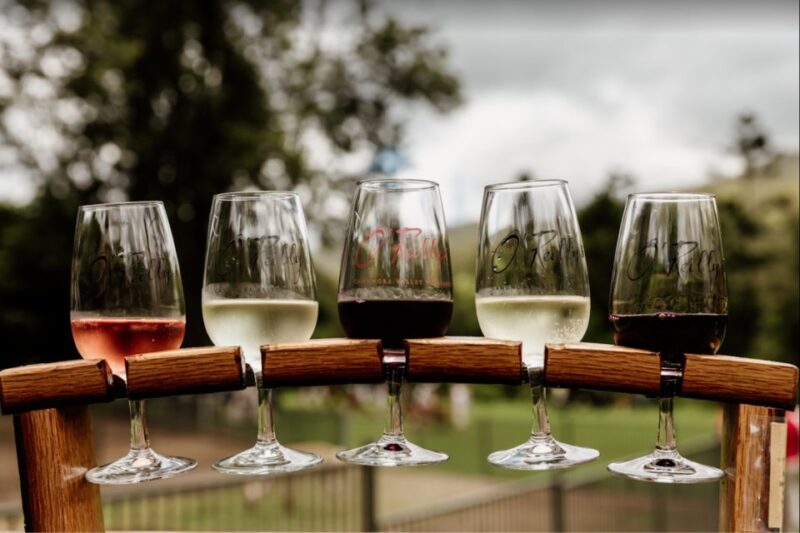 Gold Coast: Private Winery Tour in a New Luxury Vehicle - Itinerary