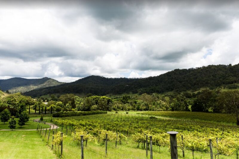 Gold Coast: Private Winery Tour in a New Luxury Vehicle - Transportation