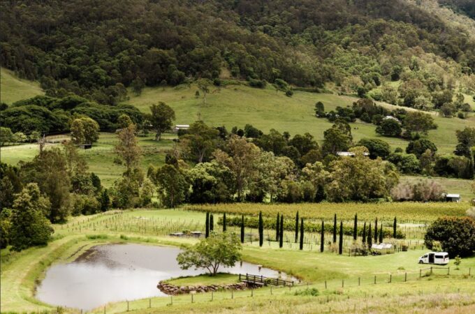 Gold Coast: Private Winery Tour in a New Luxury Vehicle - Family-Owned Wineries