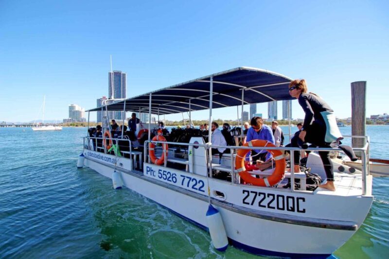 Gold Coast: Snorkelling in Wave Break Island - Key Points
