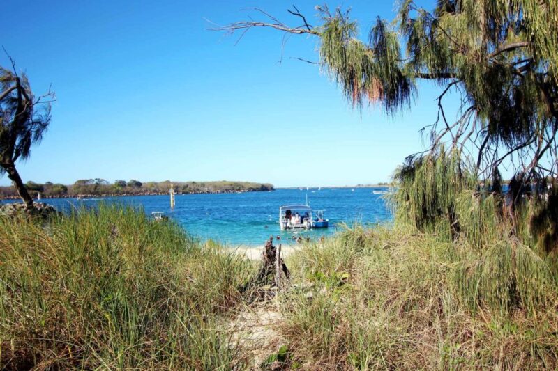 Gold Coast: Snorkelling in Wave Break Island - Language Support for Guides