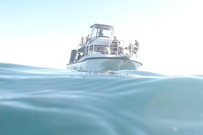 Gold Coast Try-Scuba Experience at Cook Island Aquatic Reserve - Pickup and Meeting Point
