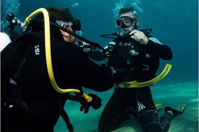 Gold Coast Try-Scuba Experience at Cook Island Aquatic Reserve - Underwater Scenery