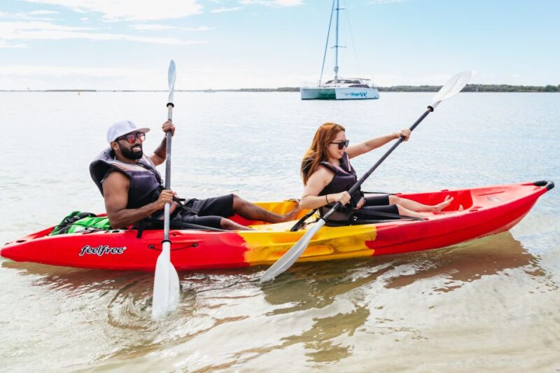 Gold Coast: Wave Break Island Kayaking & Snorkeling Tour - Key Points