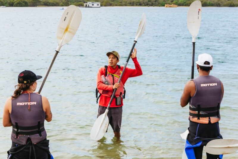 Gold Coast: Wave Break Island Kayaking & Snorkeling Tour - Activity Highlights