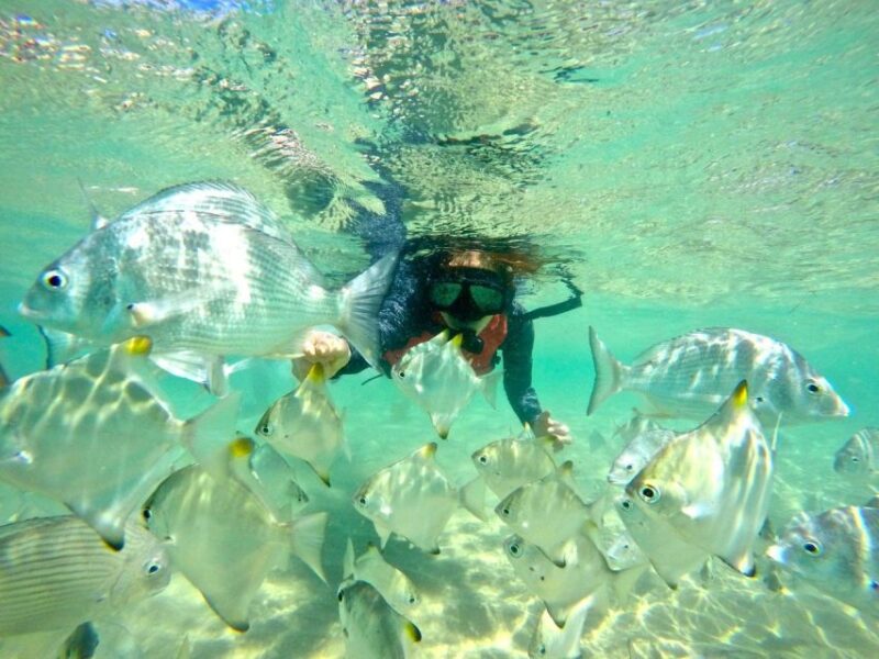 Gold Coast: Wave Break Island Kayaking & Snorkeling Tour - Departure and Kayaking