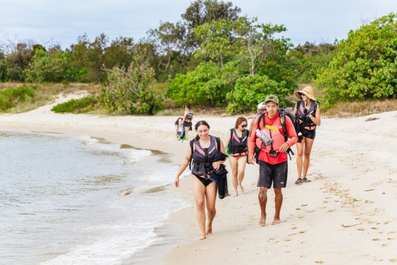 Gold Coast: Wave Break Island Kayaking & Snorkeling Tour - Snorkeling Experience